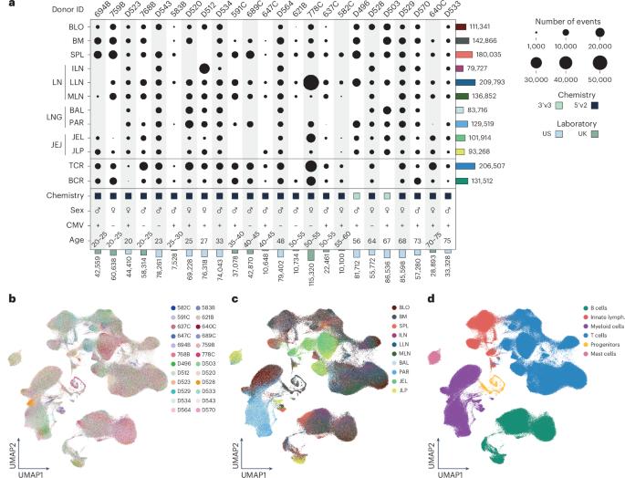 Multimodal profiling reveals tissue-directed signatures of human immune cells altered with age