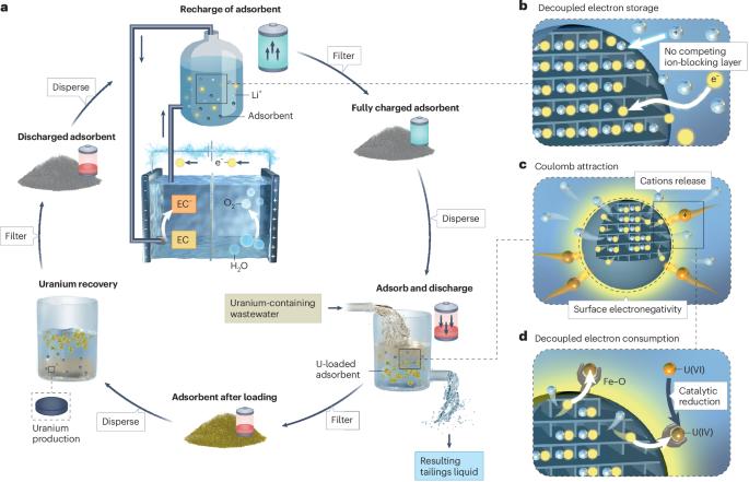 Harvesting uranium from nuclear waste streams