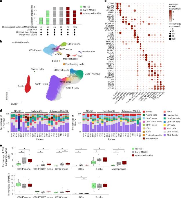Single-cell atlas of human liver and blood immune cells across fatty liver disease stages reveals distinct signatures linked to liver dysfunction and fibrogenesis