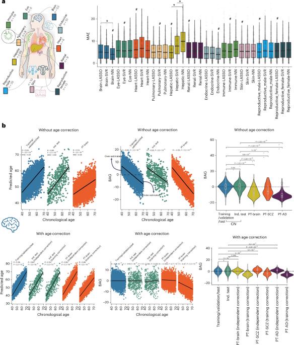 Refining the generation, interpretation and application of multi-organ, multi-omics biological aging clocks