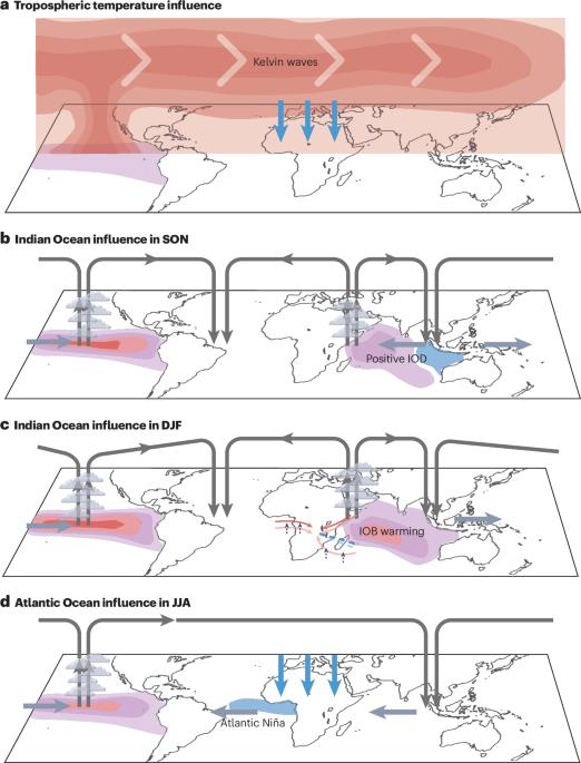 Climate impacts of the El Niño–Southern Oscillation in Africa