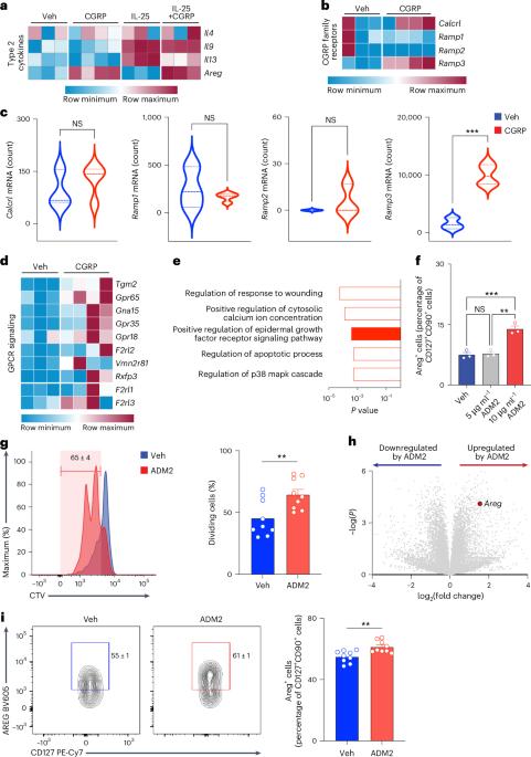 CGRP-related neuropeptide adrenomedullin 2 promotes tissue-protective ILC2 responses and limits intestinal inflammation