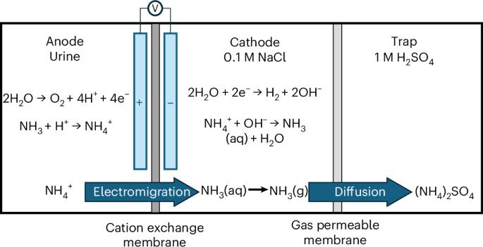 Prototyping and modelling a photovoltaic–thermal electrochemical stripping system for distributed urine nitrogen recovery