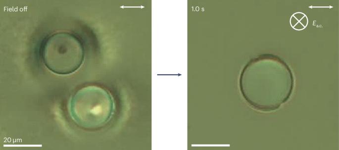 Biphasic liquids held in suspense