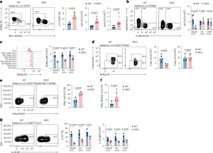 Circadian circuits control plasticity of group 3 innate lymphoid cells by sustaining epigenetic configuration of RORγt
