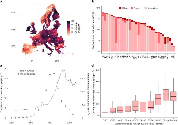 The important role of wetland conservation and restoration in nitrogen removal across European river basins