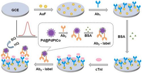 Emerging Biosensor Technologies for Stroke Biomarker Detection: A Comprehensive Overview