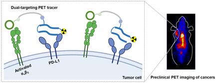 Dual-Targeting of PD-L1 and Integrin αvβ3 for Preclinical PET Imaging of Cancer