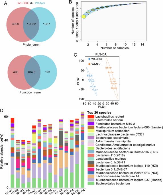METTL3 facilitates colorectal cancer growth through altering the abundance of intestinal Akkermansia muciniphila