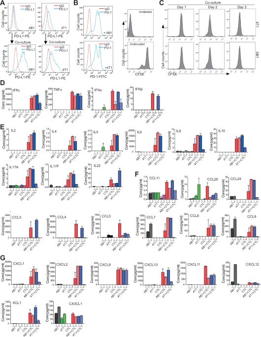 Slc7a5 promotes T cell anti-tumor immunity through sustaining cytotoxic T lymphocyte effector function