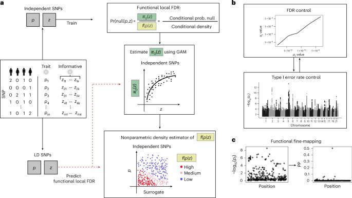 Exploiting pleiotropy to enhance variant discovery with functional false discovery rates