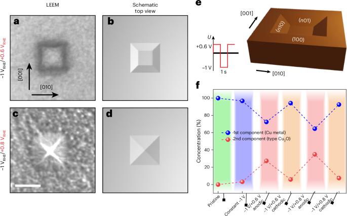 Linking surface modifications of Cu(100) to selectivity during dynamic CO2 electroreduction