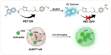 PET-leveraged ALDH probe toward cancer stem cells