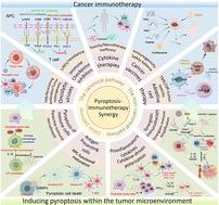 Overcoming cancer immunotherapy barriers via nanomaterial-mediated pyroptosis
