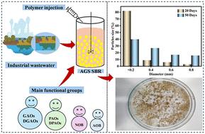 The impact of cationic polymer dosage on aerobic granular sludge formation and system performance