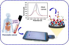 Competitive electrochemical assay of CA19-9 on gold nanoparticles/porous carbons nanohybrid amplified by polyoxometalate/aptamer/graphene quantum dot-decorated gold nanotags
