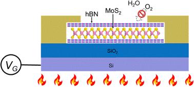 Interface engineering of 2D van der Waals heterostructures for high-temperature optical communication