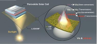 Lignin carbon dot/nanocellulose films for enhanced UV stability and efficiency in perovskite solar cells through selective light transmission, blocking, and conversion