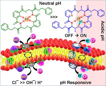 Selective and pH-Responsive Macrocyclic Anionophores