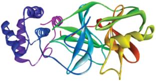 Insights into β-Diketone: A Multi-Faceted Study from Crystal Structure to Molecular Docking and Antioxidant Potential