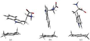 Quantum Chemical Modeling of Intermolecular Aromatic Interaction between Amino Acids and Sorbents