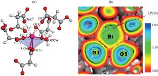 Synthesis, Structure, and Properties of Bismuth(III) Salts with Malonic Acid