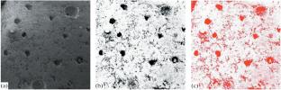 A Thermal Mechanism of Electromagnetic Initiation of Earthquakes: Numerical Estimates and Laboratory Studies