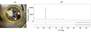 Influence of Sodium Aluminum Iron Phosphate Glass Composition on Its Resistance to Leaching