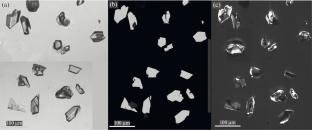 Coexisting Baddeleyite and Zircon in Early Eocene Andesites of the Sikhote-Alin: U−Pb Geochronology, Trace-Element Features, and Petrological and Tectonic Implications