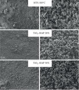 Formation of Layered Biocomposite as a Promising Base for Metal–Ceramic Bone Implants
