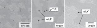 Physicochemical Interaction in the TiAl–Nb/V Systems during Aluminothermic Synthesis