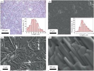 Electrochromic Properties of β-V2O5 Film and Its Formation Using Vanadyl Alkoxoacetylacetonate