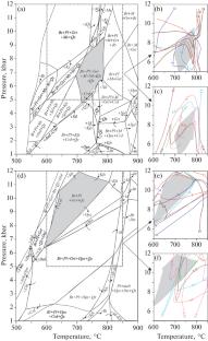 Dynamic Component of Pressure during Metamorphism in a Thrust Zone