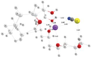 Electrical Conductivity of the System Polyvinyl Alcohol–Sodium Thiocyanate