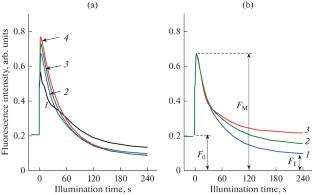 Optimizing Oxygenic Photosynthesis: pH-Regulation of Electron Transport in Chloroplasts In Silico