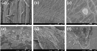 The study of microstructure and electrical conductivity of nano-Cu film/transparent wood constructed based on magnetron sputtering