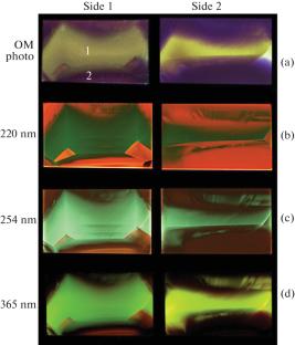 Zonal and Sectorial Distribution of Impurities in HPHT Diamonds with NV Centers