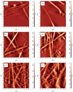 Influence of Hydrothermal Synthesis Conditions on Microstructure Characteristics of Copper Nanowires