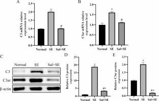 Salidroside Attenuates Epilepsy and Cognitive Dysfunction in Rats by Downregulating Complement C3-C3aR Pathway-Mediated Activation of Microglia and Astrocytes