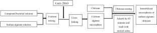 The metabolic pathway of THF-degrading composite bacteria and its immobilized microspheres