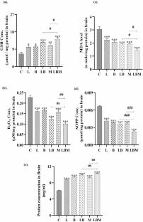 Synbiotics as Modulators of Developing Brain for Reproductive Development Via Estrogen Receptors in Male Coturnix Coturnix Japonica