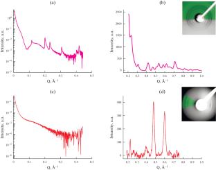 Wide-Angle X-Ray Scattering Comparative Analysis of Haloarchaeal Purple and Claret Membranes