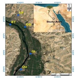 Natural Radioactivity Measurements and Radiation Dose Assessments in Different Environmental Samples from Qena Governorate, Upper Egypt