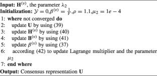 Incomplete multiview clustering with bipartite tensors