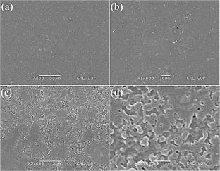 Synthesis of chitosan-polyethylene glycol-based superabsorbent for enhanced water retention in agriculture
