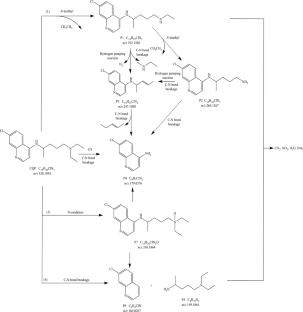 Kinetic modeling and mechanistic insights into chloroquine phosphate degradation by UV-activated peroxymonosulfate