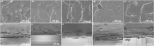 Thickness effect on the laser-induced thermoelectric voltage and laser-communication realization of the solution–derived inclined Bi2201 thin films