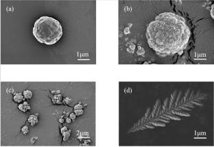 Low-Cost Microalgae-Templated CdS Composite for CO2 Utilization: Dye Sensitization of Phycobiliproteins and Carbon Dioxide Reduction