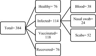 Molecular characterization of lumpy skin disease virus in the cattle population of District Lower Chitral, Khyber Pakhtunkhwa, Pakistan