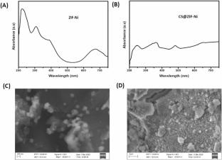Synthesis and in Vitro Evaluation of Bioactive Chitosan-Coated Bimetallic Zeolitic Imidazole Frameworks (CS@ZIF-Ni) for Antibacterial and Wound Healing Applications